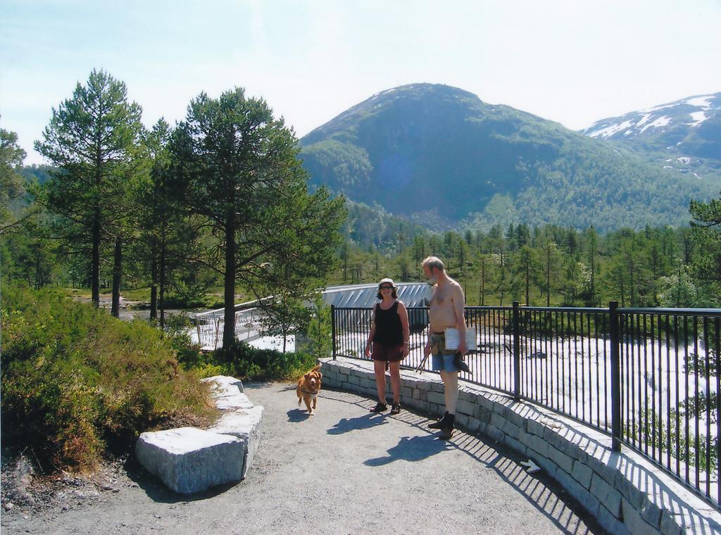 Hov Hyttegrend Viksdalen Екстер'єр фото