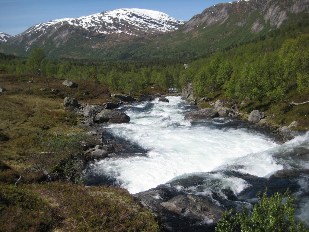 Hov Hyttegrend Viksdalen Екстер'єр фото