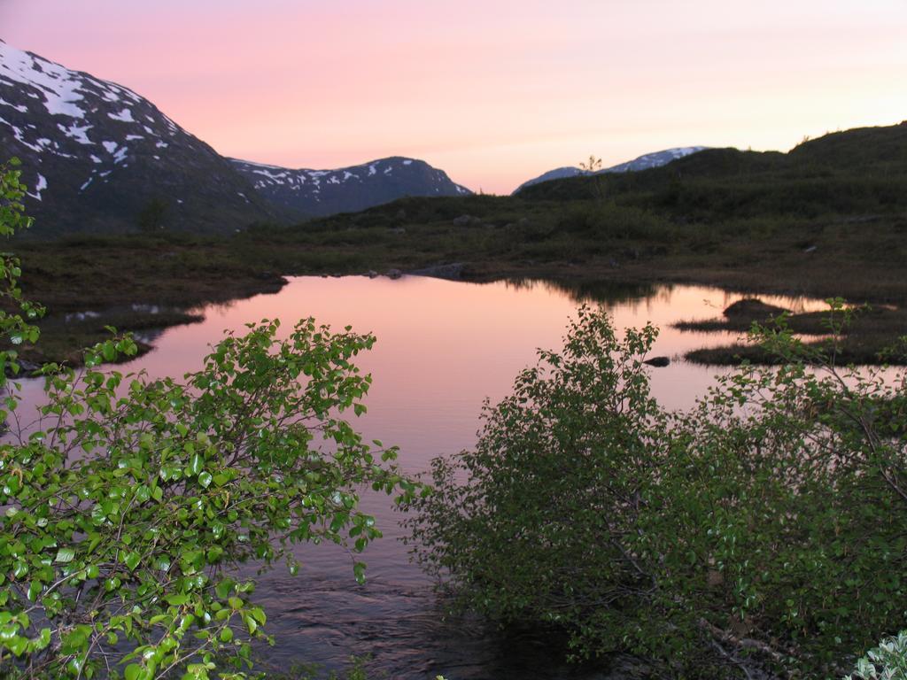 Hov Hyttegrend Viksdalen Екстер'єр фото