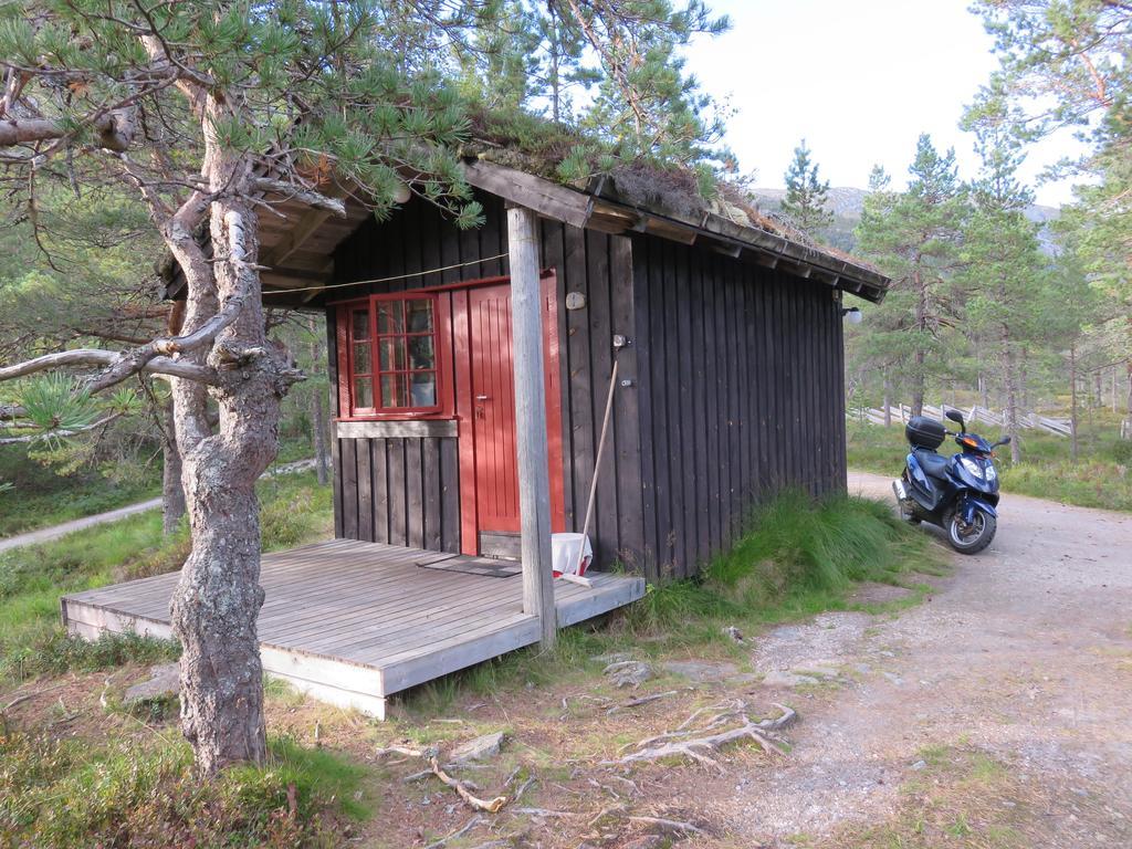 Hov Hyttegrend Viksdalen Екстер'єр фото
